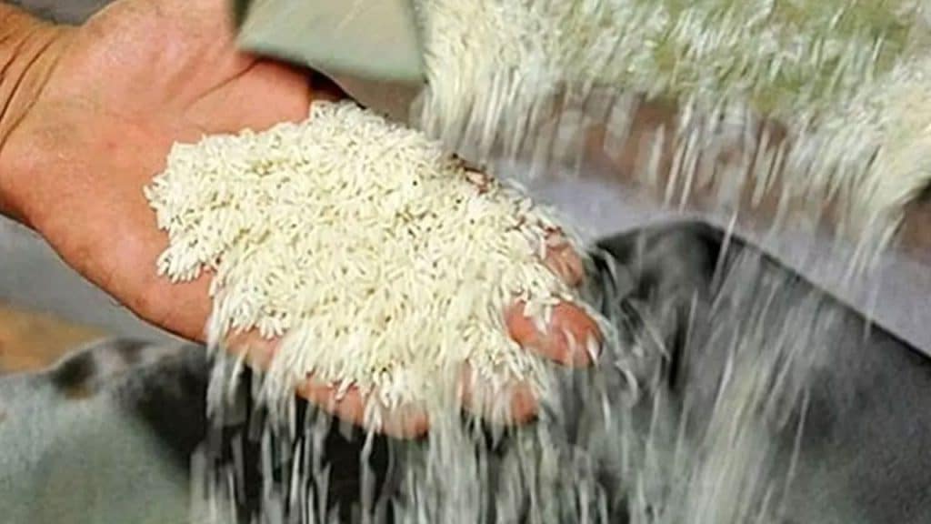 برنج نیم دانه ایرانی